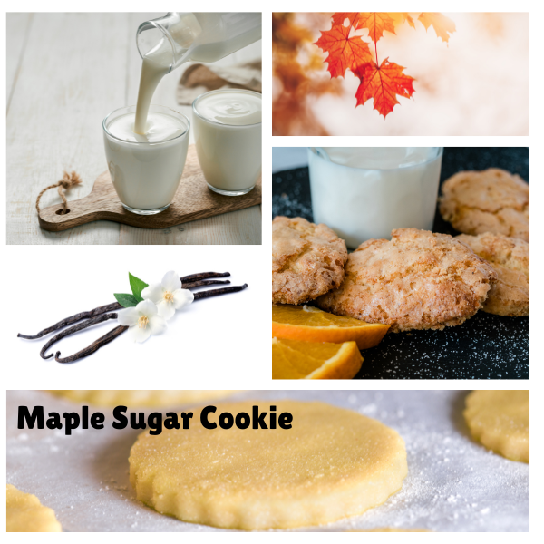 Maple Sugar Cookie Soy Candle