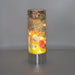 Signature HomeStyles Cylinder Inserts Gnomes at Spring Insert for use with Sparkle Glass™ Accent Light
