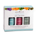 Signature HomeStyles Essential Oils Healing Set - Natural Essential Oil Gift Set