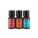 Signature HomeStyles Essential Oils Holiday Set - Natural Essential Oil Gift Set