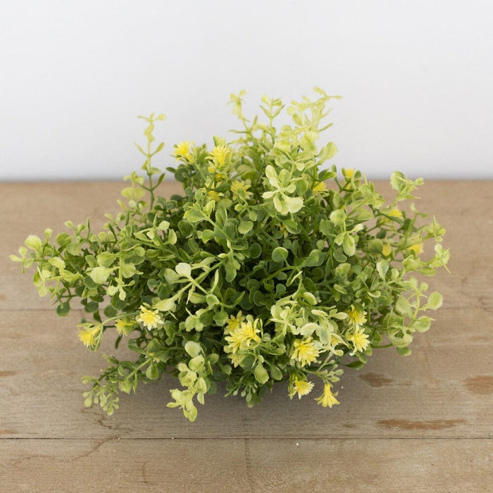 Signature HomeStyles Floral Picks & Stems Petite Greens Puff