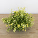 Signature HomeStyles Floral Picks & Stems Petite Greens Puff