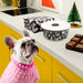 French Bull Kitchen Storage French Bull Palais Storage Container