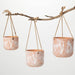 Signature HomeStyles Planters Terracotta Herb Embossed Hanging 3 pc Planter Set
