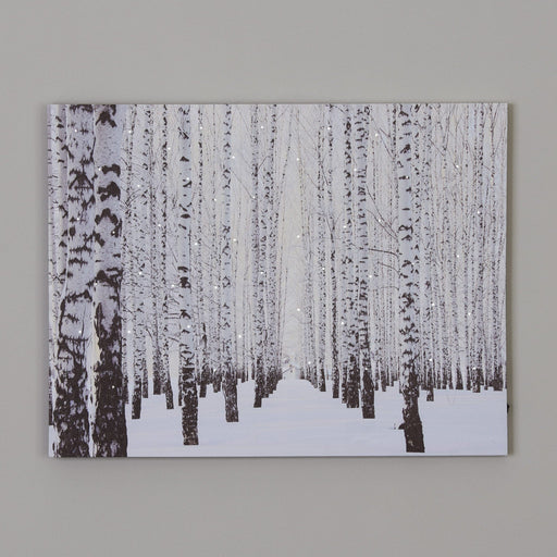 Signature HomeStyles Prints Birch Forest LED Canvas Print