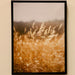 Signature HomeStyles Prints Wheat Fields Canvas Print