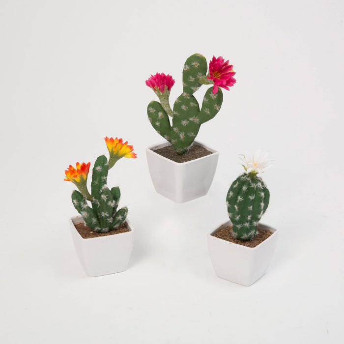 Signature HomeStyles Succulents Flower Potted Cactus