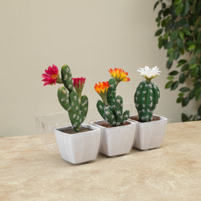 Signature HomeStyles Succulents Flower Potted Cactus