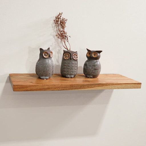 Signature HomeStyles Wall Accents Wood Floating Shelf