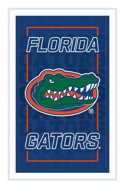 Signature HomeStyles Wall Signs University of Florida NCAA Neolite LED Rectangle Wall Sign