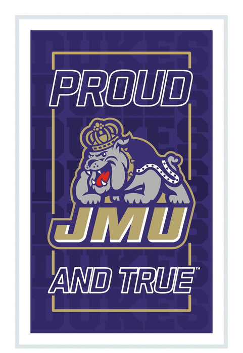 Signature HomeStyles Wall Signs James Madison University NCAA Neolite LED Rectangle Wall Sign